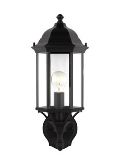 Sevier Medium One Light Uplight Outdoor Wall Lantern (38|8838701-12)