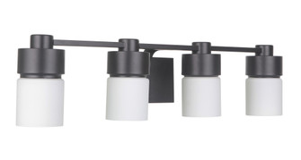 District 4 Light Vanity in Flat Black (20|12331FB4)