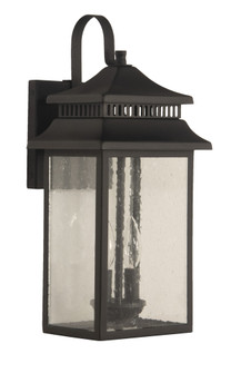 Crossbend 2 Light Medium Outdoor Wall Lantern in Textured Black (20|ZA3114-TB)