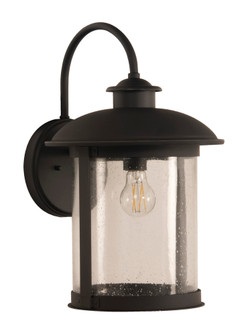 O'Fallon 1 Light Large Outdoor Wall Lantern in Dark Bronze Gilded (20|ZA3224-DBG)