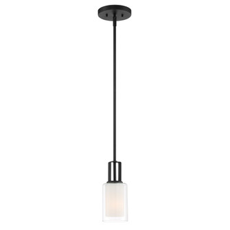Parsons Studio - Mini Pendant (10|4101-66)