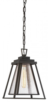 Sleepy Hollow - 1 Light Chain Hung (10|73114-226)
