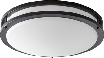 ORACLE 120v DIM CMNT - OB (476|3-620-22)