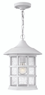 Medium Hanging Lantern (87|1862TW)