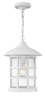 Medium Hanging Lantern (87|1862TW)