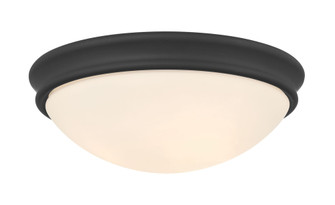 Baumann 14'' Wide 3-Light Flush Mount (670|5225-MB)