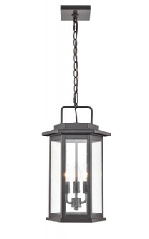 Outdoor Hanging Lantern (670|2687-PBZ)