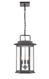 Ellis 3-Light Outdoor Hanging Lantern Powder Coated Bronze (670|2687-PBZ)