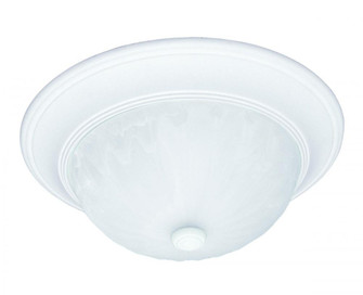 2-Light Ceiling Light in Matte White (128|6-13264-13-80)