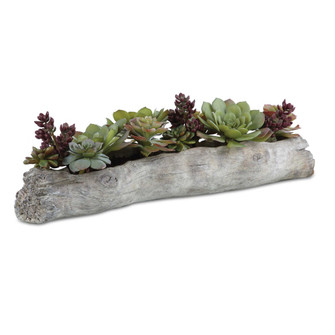 Uttermost Charita Lush Succulents (85|60174)