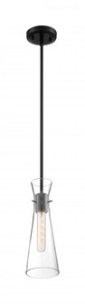 Bahari - 1 Light Mini Pendant with Clear Glass - Black Finish (81|60/6878)