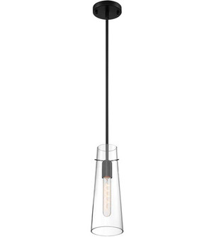 Alondra - 1 Light Mini Pendant with Clear Glass - Black Finish (81|60/6880)