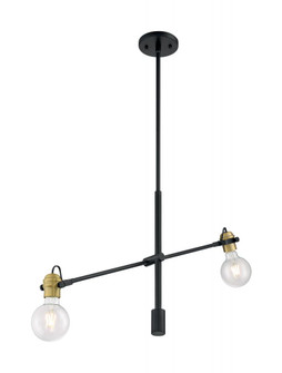 Mantra - 2 Light Pendant with- Black and Brass Accents Finish (81|60/6988)