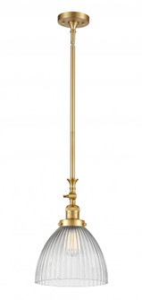 Seneca Falls - 1 Light - 10 inch - Satin Gold - Stem Hung - Adjustable Mini Pendant (3442|206-SG-G222)
