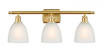 Castile - 3 Light - 26 inch - Satin Gold - Bath Vanity Light (3442|516-3W-SG-G381-LED)