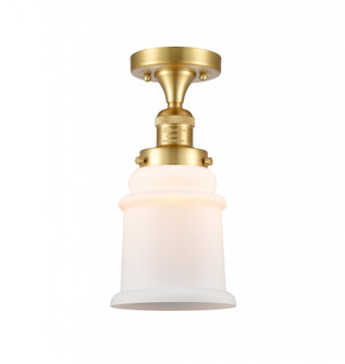 Canton - 1 Light - 6 inch - Satin Gold - Semi-Flush Mount (3442|517-1CH-SG-G181-LED)