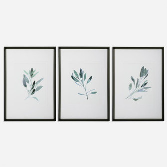 Simple Sage Watercolor Prints, S/3 (85|33723)