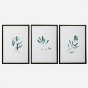 Uttermost Simple Sage Watercolor Prints Set/3 (85|33723)
