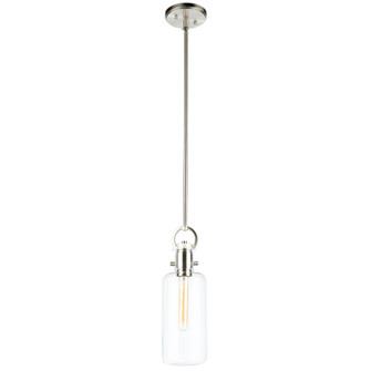 Single Large Glass Clear Pendant (12|AC10121SN)