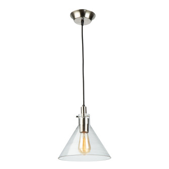 Single Clear Glass Pendant (Satin Nickel & Polished Brass) (12|AC11640CL)