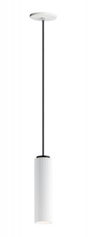 Pleat-Single Pendant (94|E25038-WTBK)