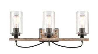 Paladin - 3 Light - 24 inch - Matte Black - Bath Vanity Light (3442|442-3W-BK-SDY-LED)