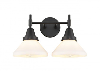 Caden - 2 Light - 17 inch - Matte Black - Bath Vanity Light (3442|447-2W-BK-W-LED)