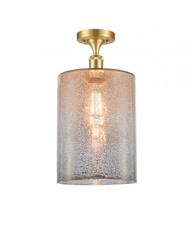 Cobbleskill - 1 Light - 9 inch - Satin Gold - Semi-Flush Mount (3442|516-1C-SG-G116-L-LED)