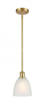 Castile - 1 Light - 6 inch - Satin Gold - Mini Pendant (3442|516-1S-SG-G381)