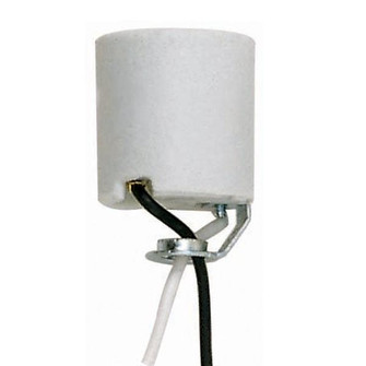 Keyless Porcelain Socket With Hickey; 24'' Leads; Unglazed; 660W; 250V (27|90/759)