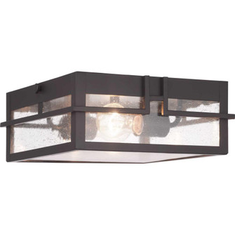 P550038-020 2-60W MED FLUSH MOUNT (149|P550038-020)