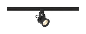 LED; 12 Watt Forged Track Head; Black; 24 deg. Beam Angle (81|TH488)