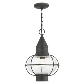 1 Lt Charcoal Outdoor Pendant Lantern (108|26906-61)