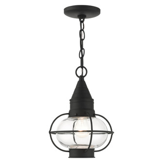 1 Lt Black Outdoor Pendant Lantern (108|26910-04)