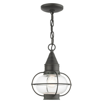 1 Lt Charcoal Outdoor Pendant Lantern (108|26910-61)