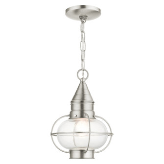 1 Lt Brushed Nickel Outdoor Pendant Lantern (108|26910-91)