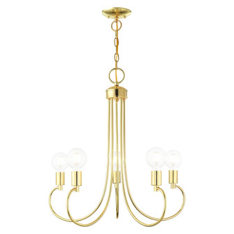 5 Lt Polished Brass Chandelier (108|42925-02)