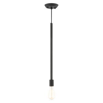 1 Lt Black Pendant (108|45831-04)