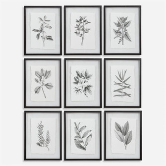 Uttermost Farmhouse Florals Framed Prints Set/9 (85|41617)