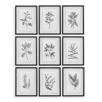 Uttermost Farmhouse Florals Framed Prints Set/9 (85|41617)