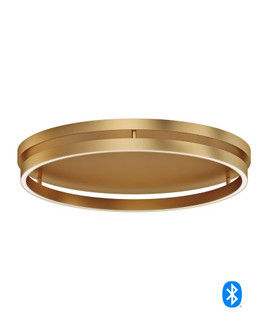 Groove WiZ-Flush Mount (94|E22720-GLD)