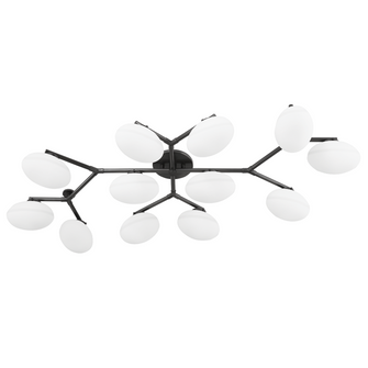 Wagner Semi Flush (57|5559-OB)
