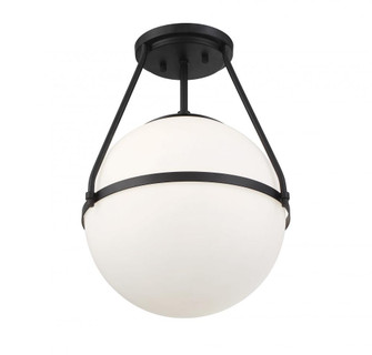 1-Light Ceiling Light in Matte Black (8483|M60054MBK)