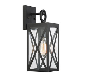 1-Light Outdoor Wall Lantern in Black (8483|M50027BK)