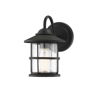 1-Light Outdoor Wall Lantern in Matte Black (8483|M50014BK)