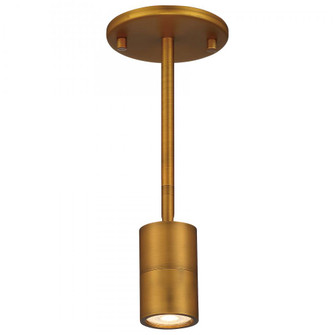 1 Light LED Wall or Ceiling Spotlight (7|72010LEDDLP-ABB)