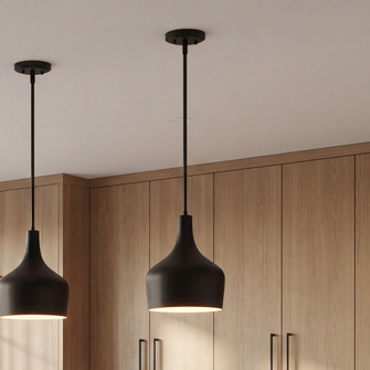 1-Light Pendant in Matte Black (8483|M70020MBK)