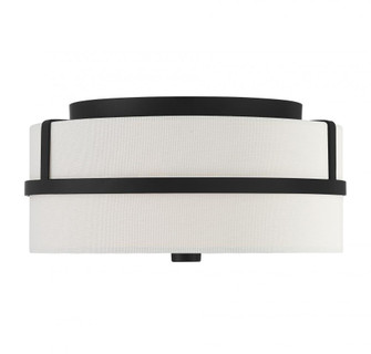 2-Light Ceiling Light in Matte Black (8483|M60065MBK)
