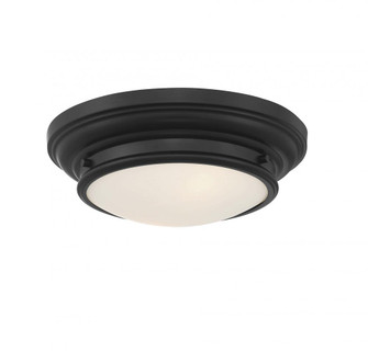 2-Light Ceiling Light in Matte Black (8483|M60063MBK)