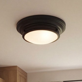 2-Light Ceiling Light in Matte Black (8483|M60063MBK)